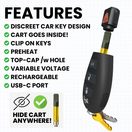 Penjamin Car Key Battery
