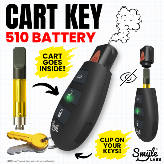 Penjamin Car Key Battery